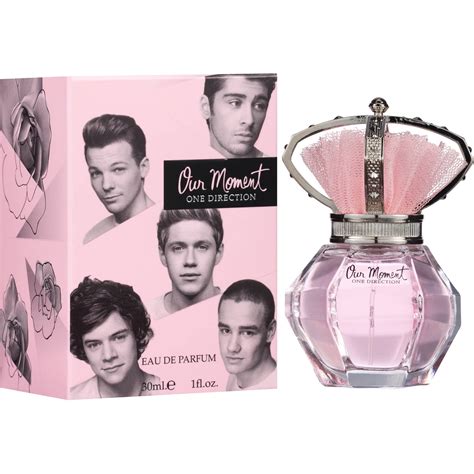 one direction our moment